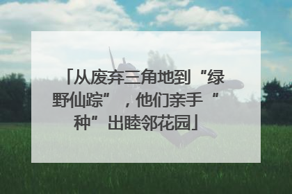 从废弃三角地到“绿野仙踪”，他们亲手“种”出睦邻花园