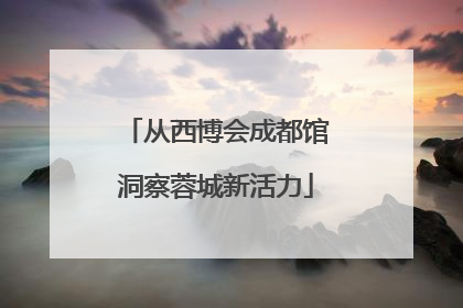 从西博会成都馆洞察蓉城新活力