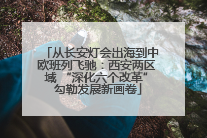 从长安灯会出海到中欧班列飞驰：西安两区域 “深化六个改革” 勾勒发展新画卷