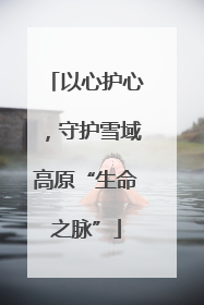 以心护心，守护雪域高原“生命之脉”