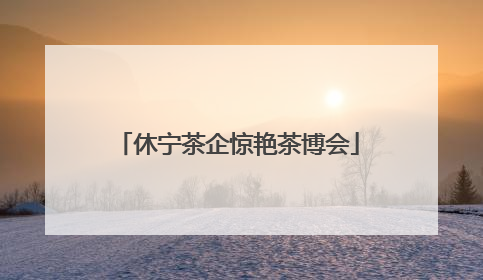 休宁茶企惊艳茶博会