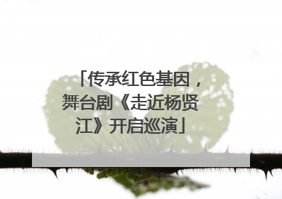 传承红色基因，舞台剧《走近杨贤江》开启巡演