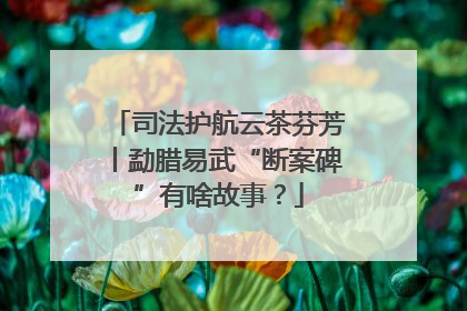 司法护航云茶芬芳丨勐腊易武“断案碑”有啥故事？
