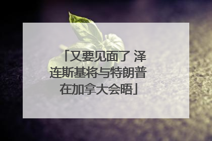 又要见面了 泽连斯基将与特朗普在加拿大会晤