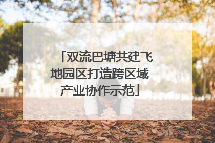 双流巴塘共建飞地园区打造跨区域产业协作示范