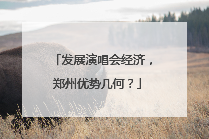 发展演唱会经济，郑州优势几何？