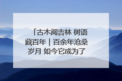 古木阅吉林 树语藏百年｜百余年沧桑岁月 如今它成为了“镇园之宝”