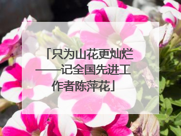 只为山花更灿烂——记全国先进工作者陈萍花