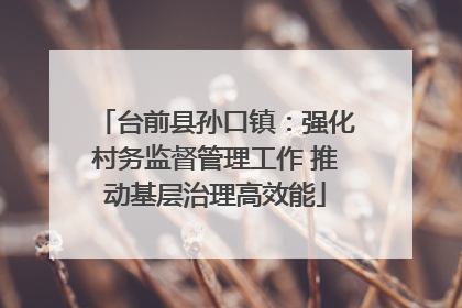 台前县孙口镇：强化村务监督管理工作 推动基层治理高效能