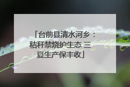 台前县清水河乡：秸秆禁烧护生态 三夏生产保丰收