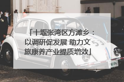 十堰张湾区方滩乡：以调研促发展 助力文旅康养产业提质增效