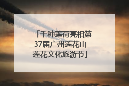千种莲荷亮相第37届广州莲花山莲花文化旅游节