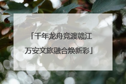 千年龙舟竞渡赣江 万安文旅融合焕新彩