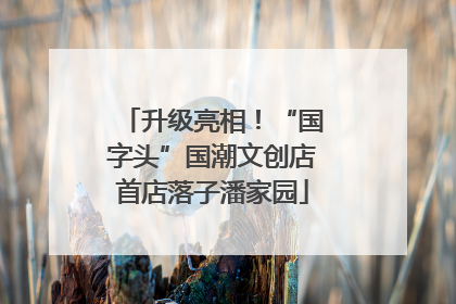 升级亮相！“国字头”国潮文创店首店落子潘家园