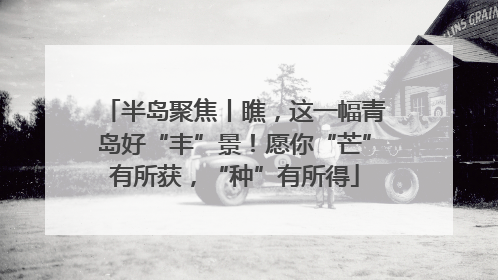 半岛聚焦丨瞧，这一幅青岛好“丰”景！愿你“芒”有所获，“种”有所得