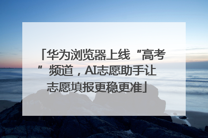 华为浏览器上线“高考”频道，AI志愿助手让志愿填报更稳更准