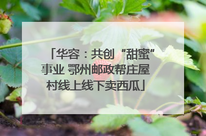 华容：共创“甜蜜”事业 鄂州邮政帮庄屋村线上线下卖西瓜