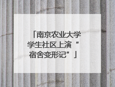 南京农业大学学生社区上演“宿舍变形记”