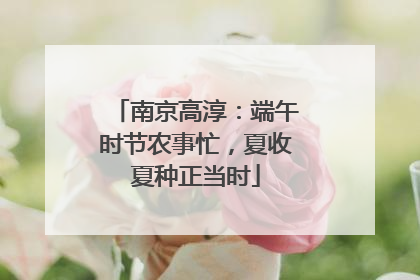 南京高淳：端午时节农事忙，夏收夏种正当时