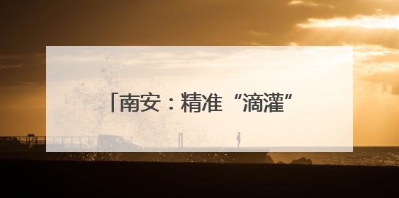 南安：精准“滴灌”专精特新竞跑出圈