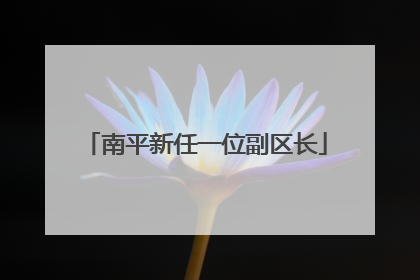 南平新任一位副区长