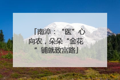 南漳：“医”心向农，朵朵“金花”铺就致富路