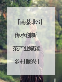 南茶北引传承创新 茶产业赋能乡村振兴
