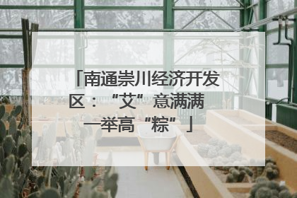 南通崇川经济开发区：“艾”意满满 一举高“粽”