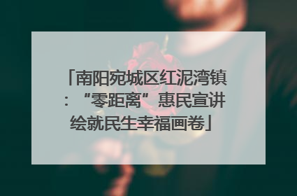 南阳宛城区红泥湾镇：“零距离”惠民宣讲 绘就民生幸福画卷