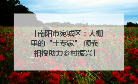 南阳市宛城区：大棚里的“土专家” 倾囊相授助力乡村振兴