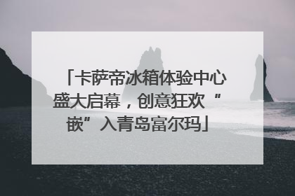 卡萨帝冰箱体验中心盛大启幕，创意狂欢“嵌”入青岛富尔玛