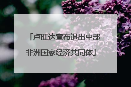 卢旺达宣布退出中部非洲国家经济共同体