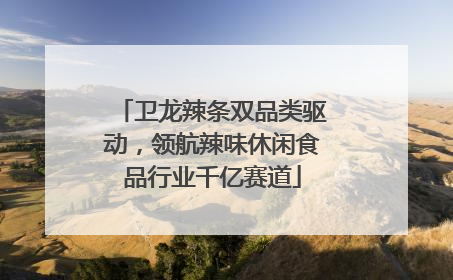 卫龙辣条双品类驱动，领航辣味休闲食品行业千亿赛道