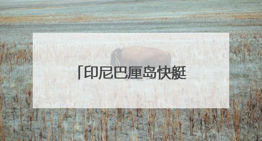 印尼巴厘岛快艇倾覆89人全部获救 亲历者：“像是乘坐了泰坦尼克号”｜封面头条