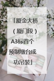 厦金大桥（厦门段）A3标首个预制墩台成功吊装