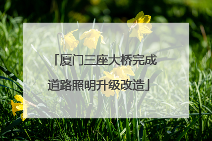 厦门三座大桥完成道路照明升级改造