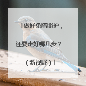 做好免陪照护，还要走好哪几步？（新视野）
