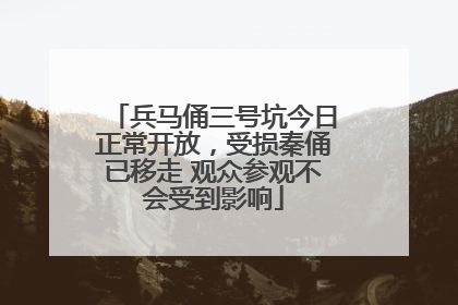 兵马俑三号坑今日正常开放，受损秦俑已移走 观众参观不会受到影响