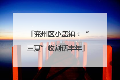 兖州区小孟镇：“三夏”收割话丰年