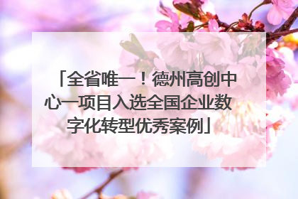 全省唯一！德州高创中心一项目入选全国企业数字化转型优秀案例