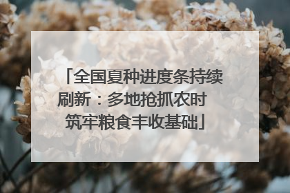全国夏种进度条持续刷新：多地抢抓农时 筑牢粮食丰收基础
