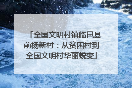 全国文明村镇临邑县前杨新村：从贫困村到全国文明村华丽蜕变