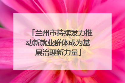 兰州市持续发力推动新就业群体成为基层治理新力量