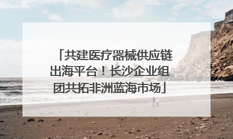 共建医疗器械供应链出海平台！长沙企业组团共拓非洲蓝海市场