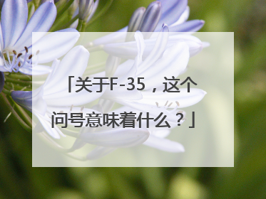 关于F-35，这个问号意味着什么？