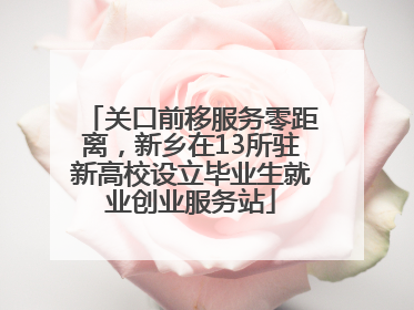 关口前移服务零距离，新乡在13所驻新高校设立毕业生就业创业服务站