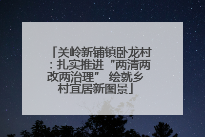 关岭新铺镇卧龙村：扎实推进“两清两改两治理” 绘就乡村宜居新图景