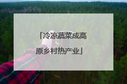 冷凉蔬菜成高原乡村热产业