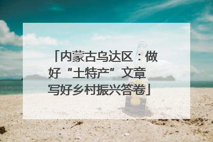 内蒙古乌达区：做好“土特产”文章 写好乡村振兴答卷