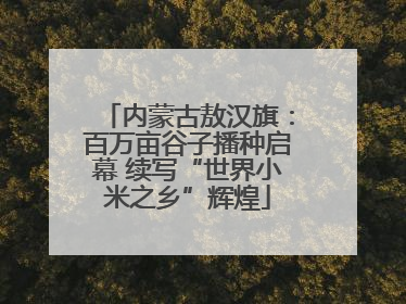 内蒙古敖汉旗：百万亩谷子播种启幕 续写“世界小米之乡”辉煌
